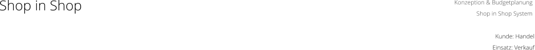 Konzeption & Budgetplanung  Shop in Shop System Kunde: Handel Einsatz: Verkauf Shop in Shop